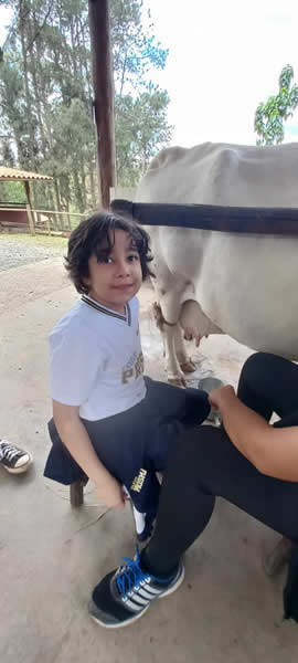 Bicho Mania 2022
